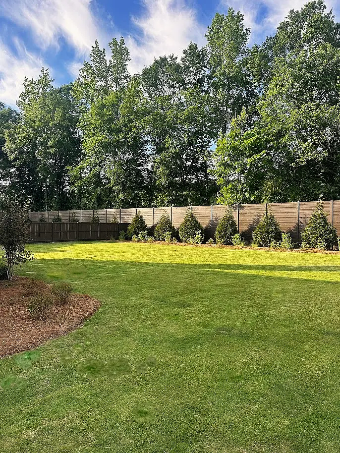 Maintained backyard with hedge row in Opelika
