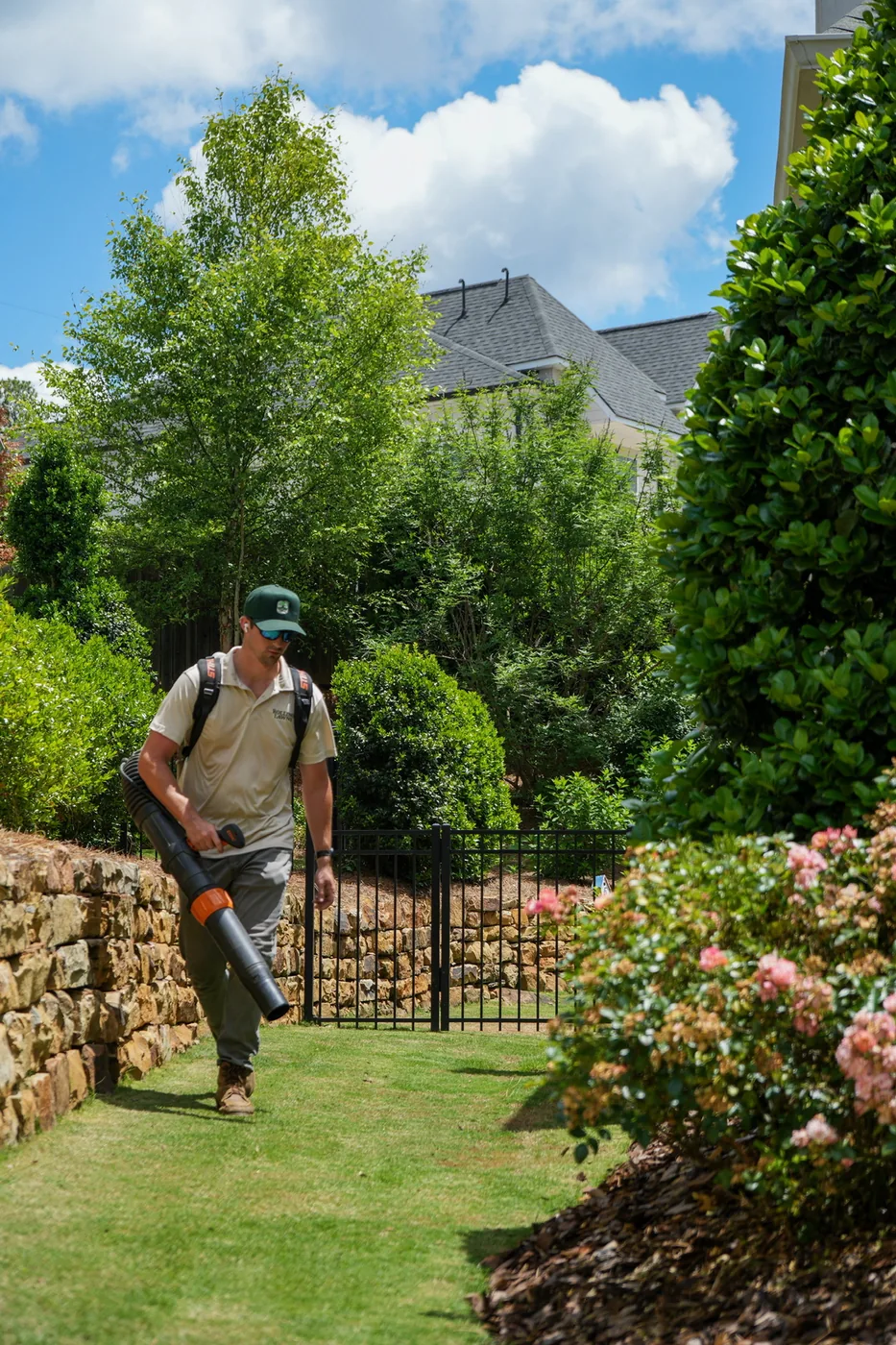 Backpack blower clearing clippings along a stone wall and rose beds