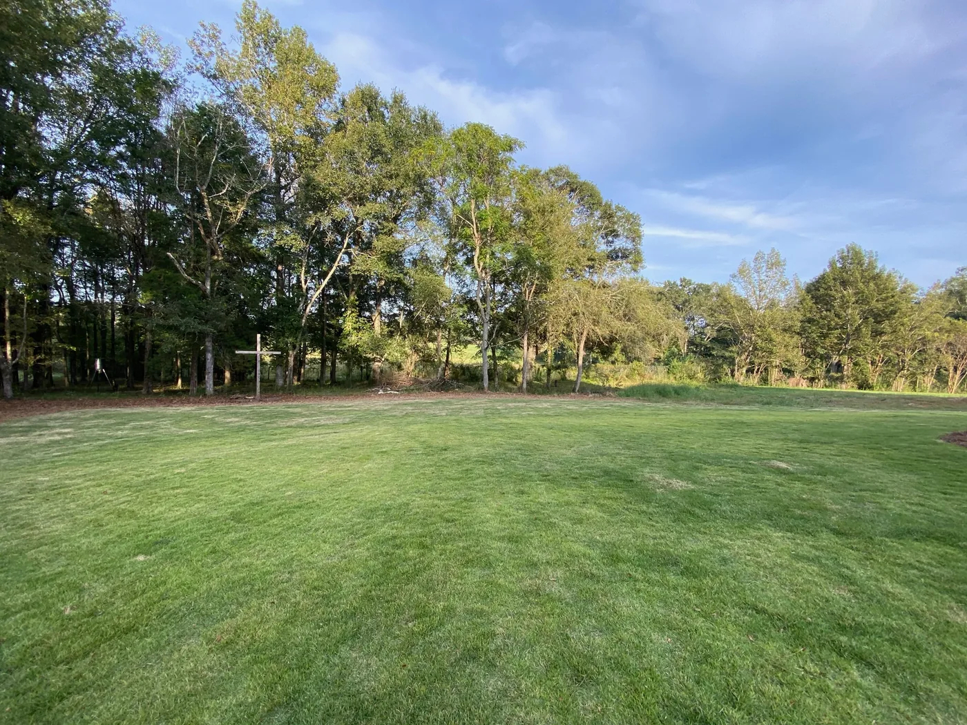 Wide freshly mowed lawn framed by mature trees
