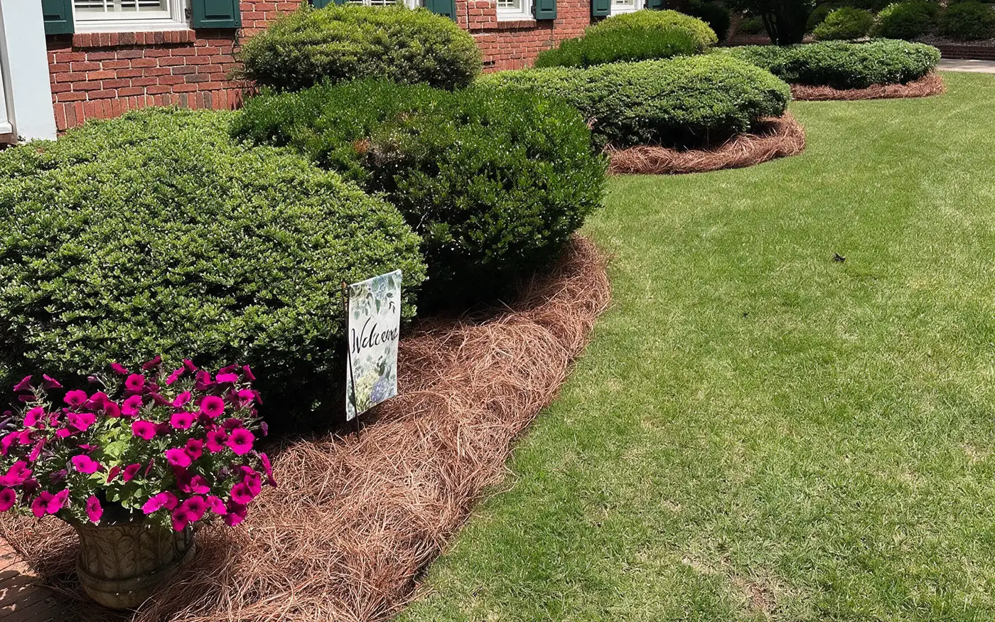 Flower beds with fresh pine straw installed along the front of the home