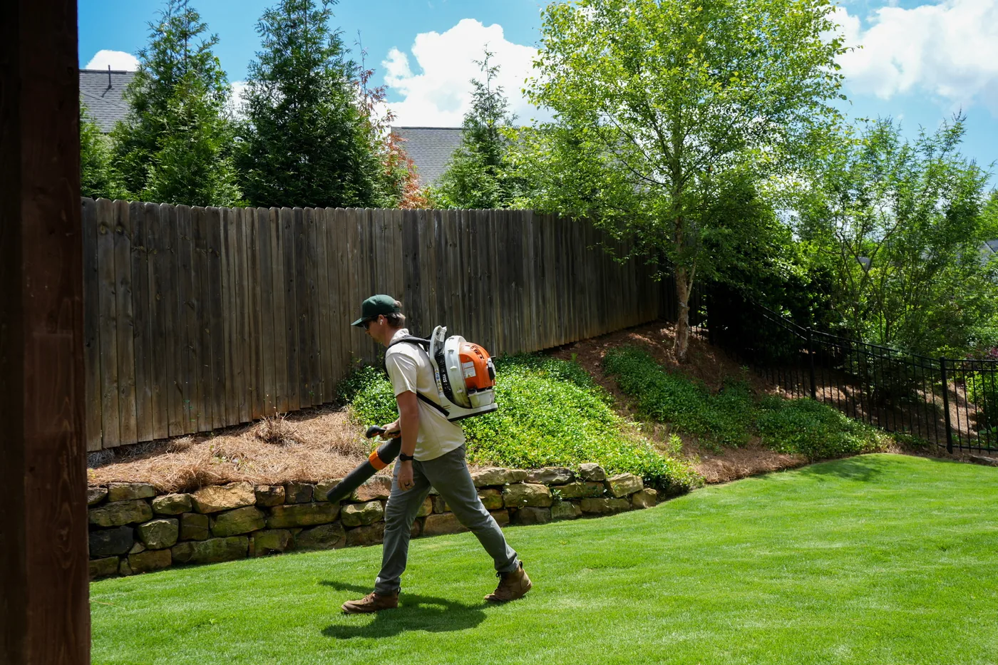 Freshly cut lawn below a pine straw slope and privacy fence