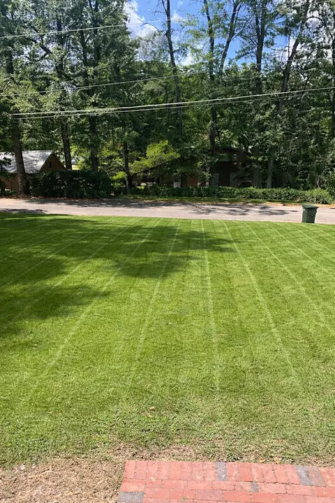 Striped front lawn with brick border